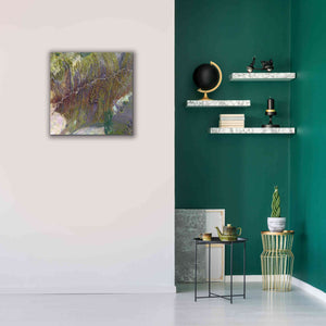 'Earth as Art: Ugab River' Canvas Wall Art,26 x 26