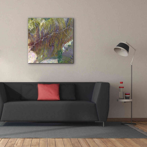 Image of 'Earth as Art: Ugab River' Canvas Wall Art,37 x 37