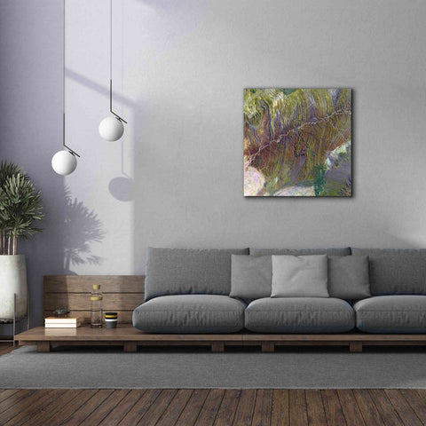 Image of 'Earth as Art: Ugab River' Canvas Wall Art,37 x 37