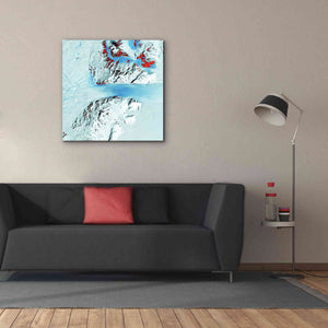 'Earth as Art: Byrd Glacier,' Canvas Wall Art,37 x 37