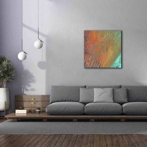 Image of 'Earth as Art: Desert Patterns,' Canvas Wall Art,37 x 37