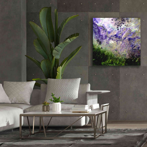 Image of 'Earth as Art: Desert to Forest,' Canvas Wall Art,37 x 37