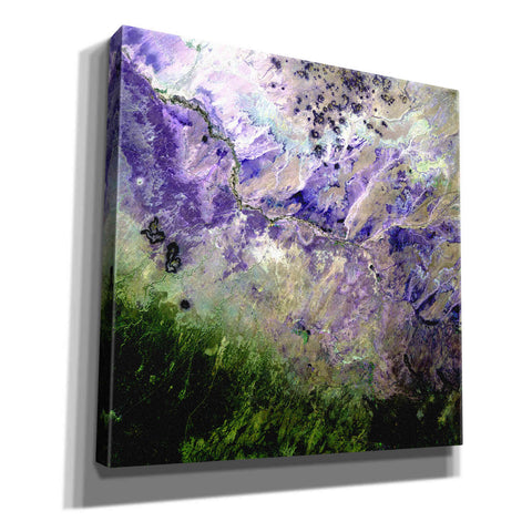 Image of 'Earth as Art: Desert to Forest,' Canvas Wall Art