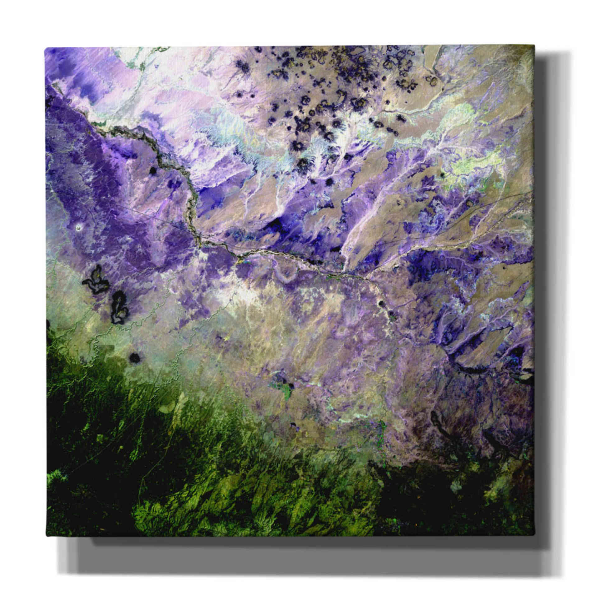 'Earth as Art: Desert to Forest,' Canvas Wall Art