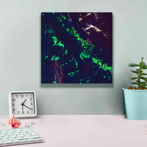 Image of 'Earth as Art: Great Barrier Reef,' Canvas Wall Art,12 x 12