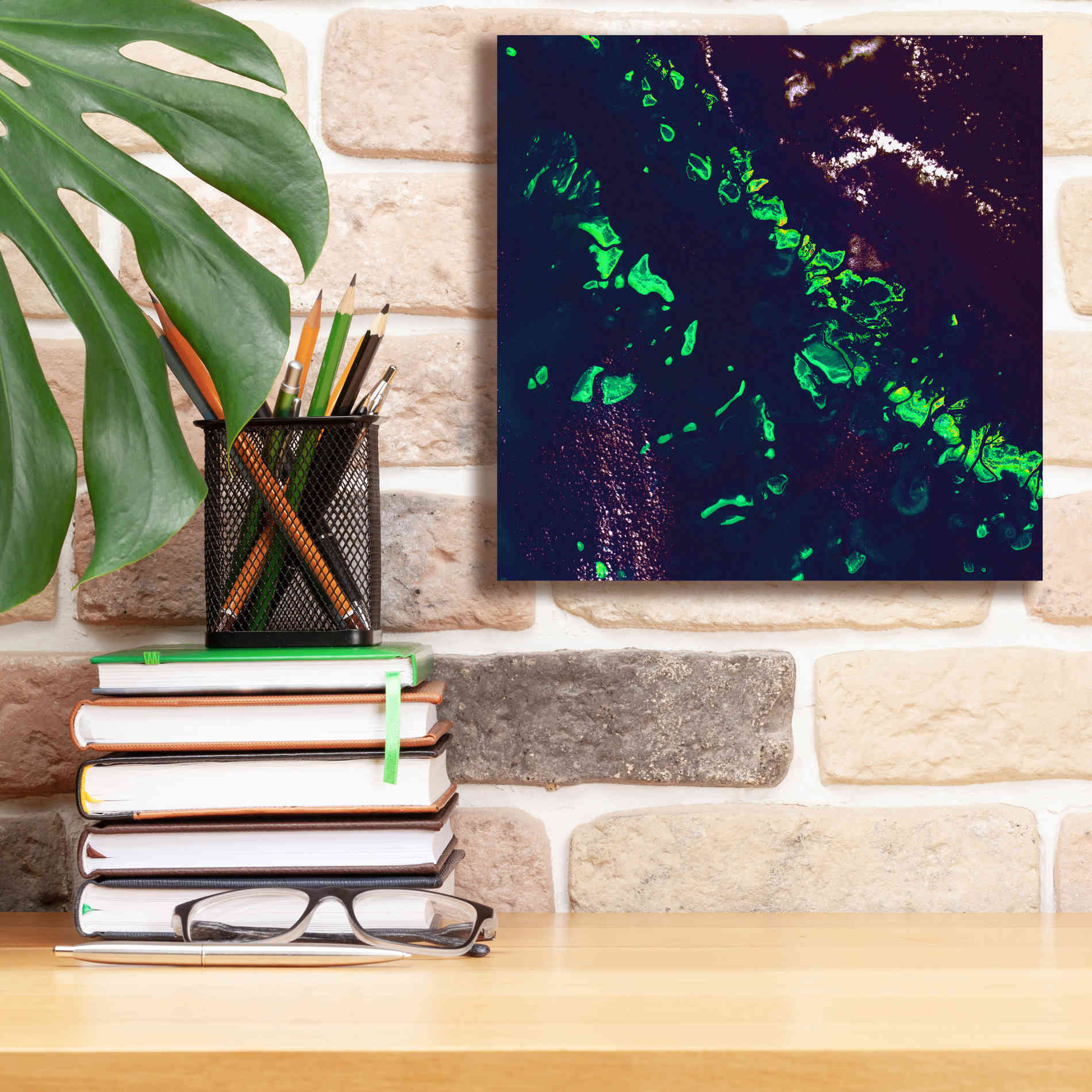 'Earth as Art: Great Barrier Reef,' Canvas Wall Art,12 x 12