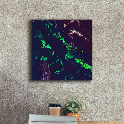 Image of 'Earth as Art: Great Barrier Reef,' Canvas Wall Art,18 x 18