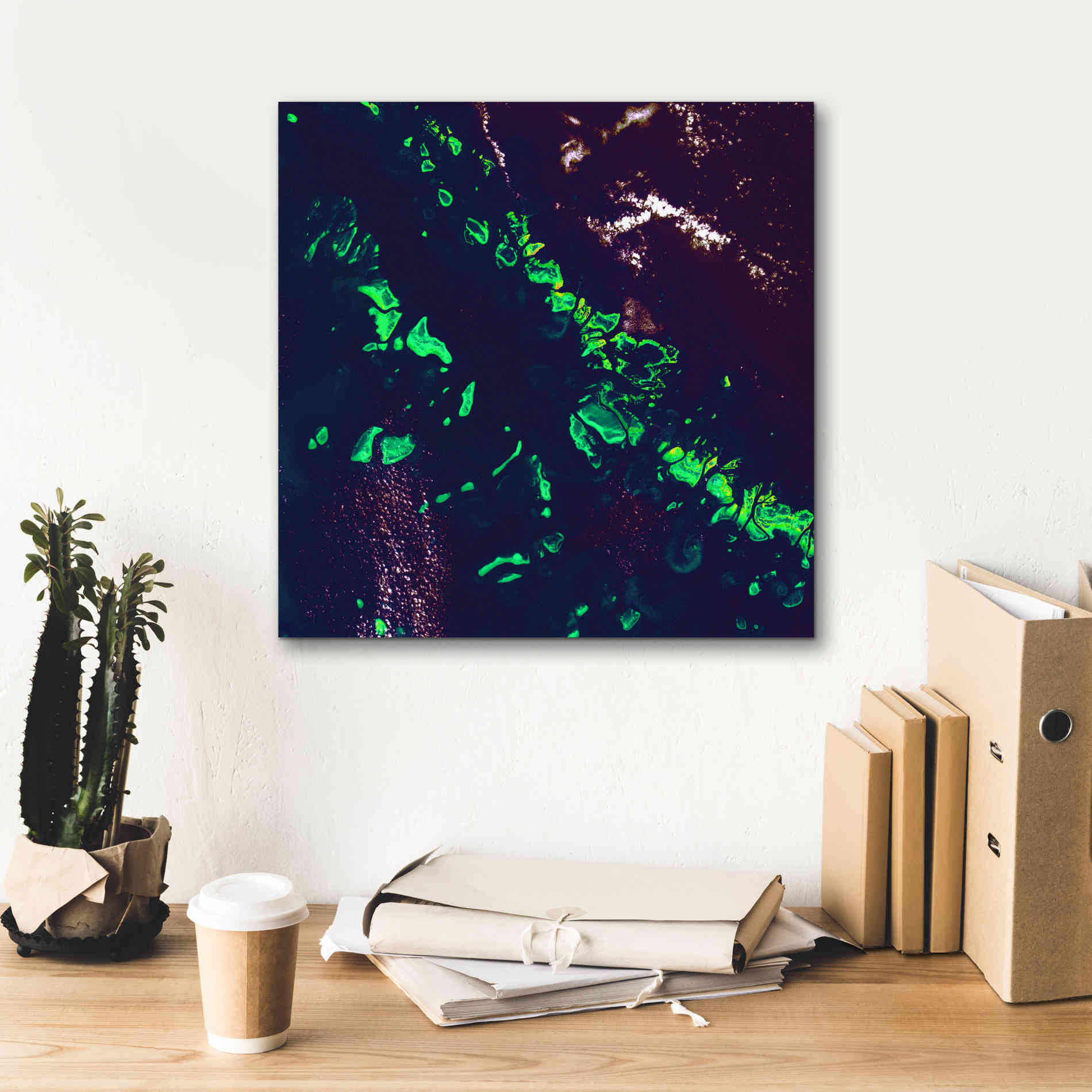 'Earth as Art: Great Barrier Reef,' Canvas Wall Art,18 x 18