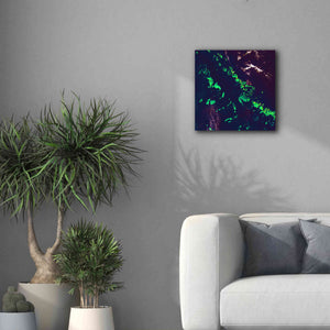 'Earth as Art: Great Barrier Reef,' Canvas Wall Art,18 x 18