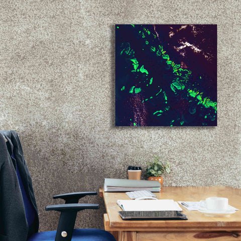 Image of 'Earth as Art: Great Barrier Reef,' Canvas Wall Art,26 x 26