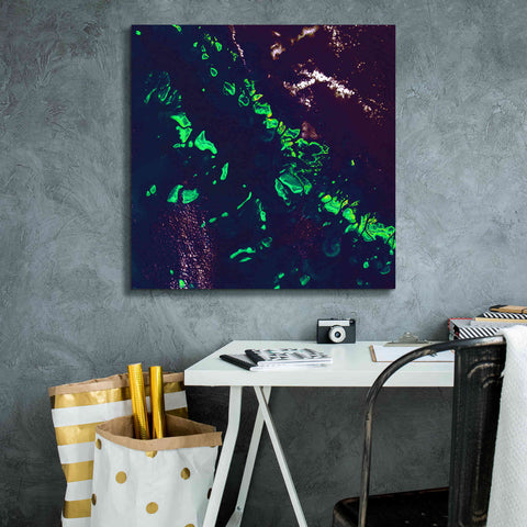 Image of 'Earth as Art: Great Barrier Reef,' Canvas Wall Art,26 x 26