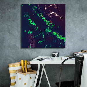 'Earth as Art: Great Barrier Reef,' Canvas Wall Art,26 x 26