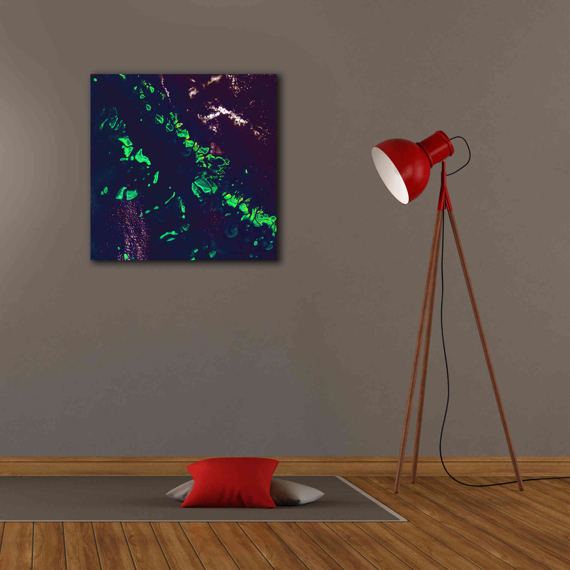 'Earth as Art: Great Barrier Reef,' Canvas Wall Art,26 x 26