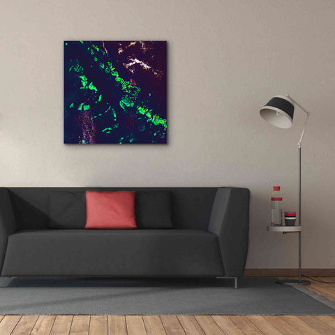 Image of 'Earth as Art: Great Barrier Reef,' Canvas Wall Art,37 x 37