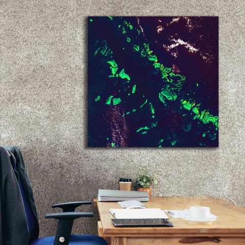 Image of 'Earth as Art: Great Barrier Reef,' Canvas Wall Art,37 x 37