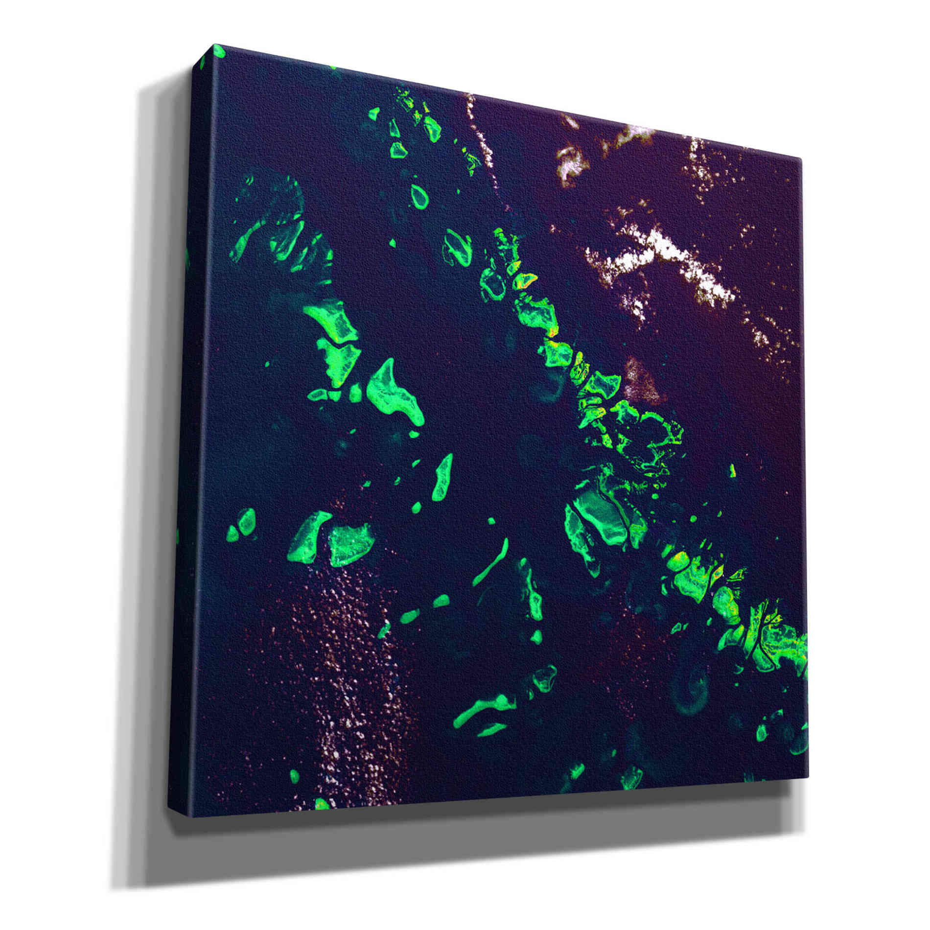 'Earth as Art: Great Barrier Reef,' Canvas Wall Art