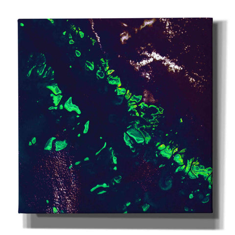 Image of 'Earth as Art: Great Barrier Reef,' Canvas Wall Art