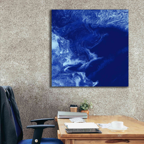 Image of 'Earth as Art: Ice Stars,' Canvas Wall Art,37 x 37