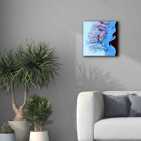 Image of 'Earth as Art: Ice Waves,' Canvas Wall Art,18 x 18