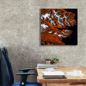 'Earth as Art: Icelandic Tiger,' Canvas Wall Art,26 x 26
