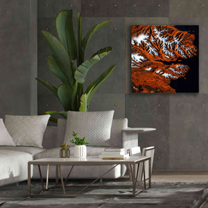 'Earth as Art: Icelandic Tiger,' Canvas Wall Art,37 x 37