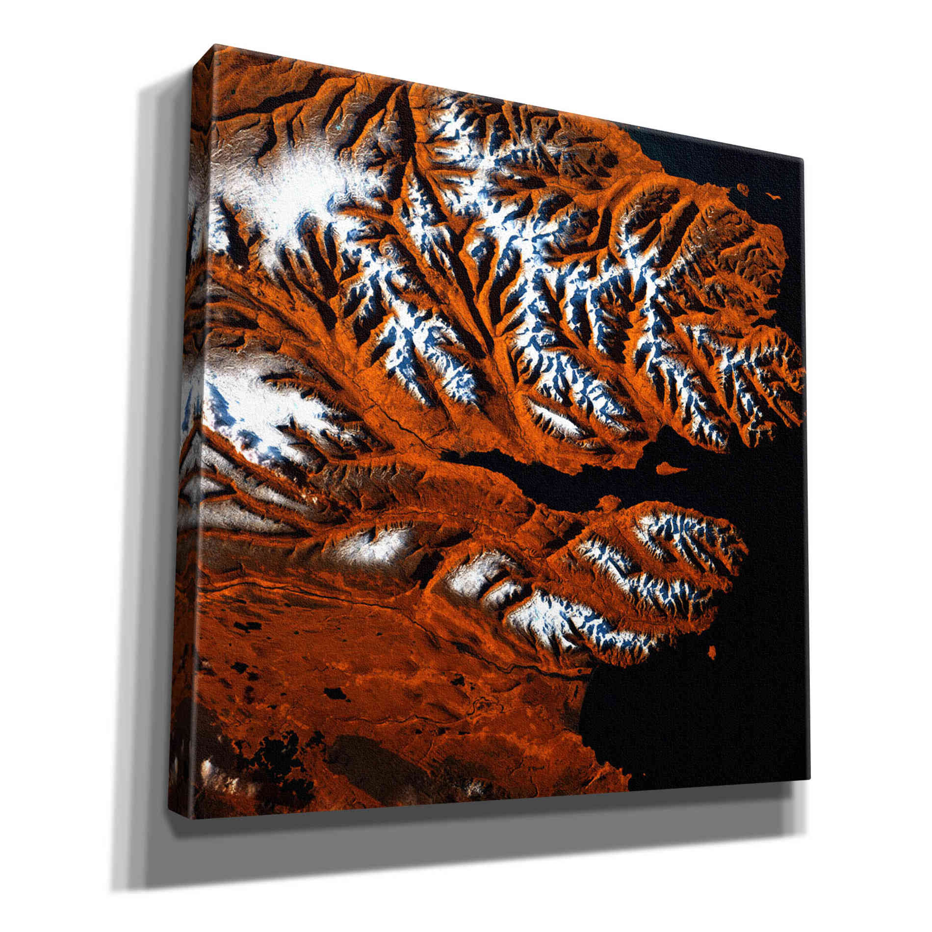 'Earth as Art: Icelandic Tiger,' Canvas Wall Art,12x12x1.1x0,18x18x1.1x0,26x26x1.74x0,37x37x1.74x0