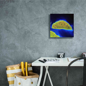 'Earth as Art: Island Rebound,' Canvas Wall Art,12 x 12