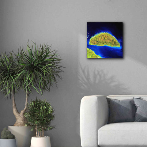 Image of 'Earth as Art: Island Rebound,' Canvas Wall Art,18 x 18