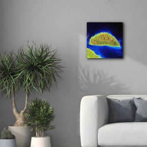 'Earth as Art: Island Rebound,' Canvas Wall Art,18 x 18