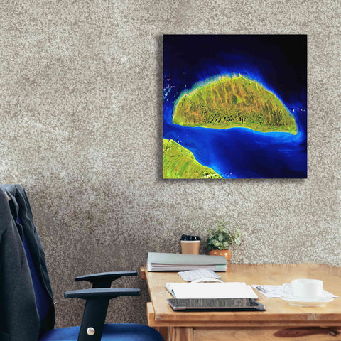 Image of 'Earth as Art: Island Rebound,' Canvas Wall Art,26 x 26