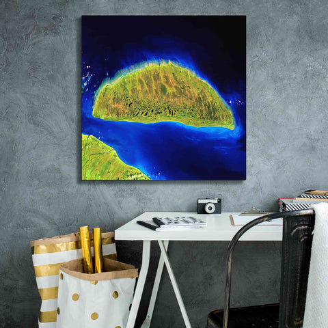 Image of 'Earth as Art: Island Rebound,' Canvas Wall Art,26 x 26