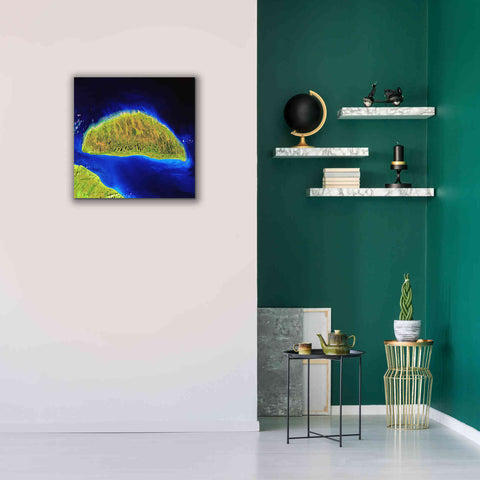Image of 'Earth as Art: Island Rebound,' Canvas Wall Art,26 x 26