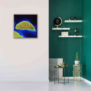 'Earth as Art: Island Rebound,' Canvas Wall Art,26 x 26