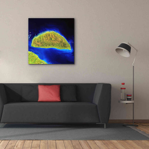 Image of 'Earth as Art: Island Rebound,' Canvas Wall Art,37 x 37