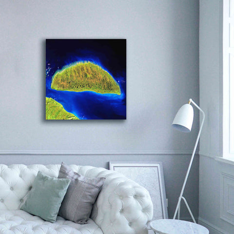 Image of 'Earth as Art: Island Rebound,' Canvas Wall Art,37 x 37