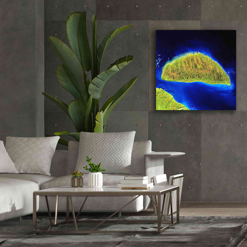 Image of 'Earth as Art: Island Rebound,' Canvas Wall Art,37 x 37