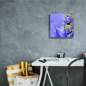 'Earth as Art: Meighen Island,' Canvas Wall Art,12 x 12