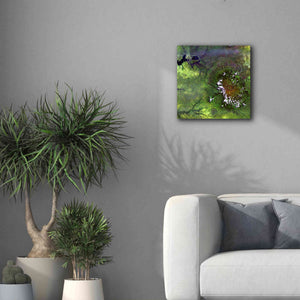 'Earth as Art: Mount Elgon,' Canvas Wall Art,18 x 18