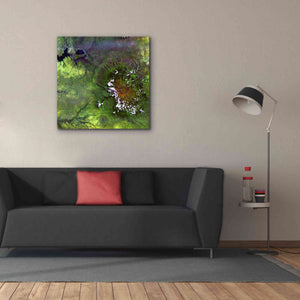 'Earth as Art: Mount Elgon,' Canvas Wall Art,37 x 37