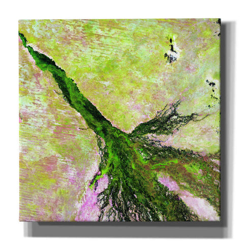 Image of 'Earth as Art: Okavango Delta,' Canvas Wall Art,12x12x1.1x0,18x18x1.1x0,26x26x1.74x0,37x37x1.74x0