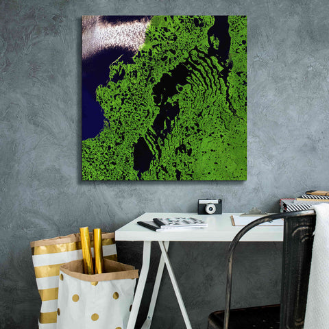 Image of 'Earth as Art: Remote Tundra,' Canvas Wall Art,26 x 26