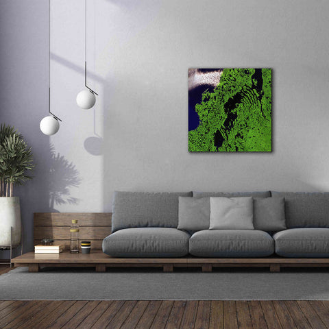 Image of 'Earth as Art: Remote Tundra,' Canvas Wall Art,37 x 37