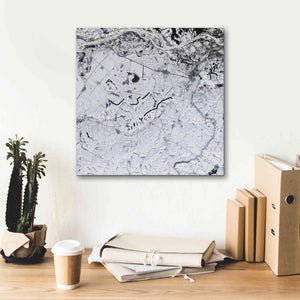 'Earth as Art: Etched in Snow,' Canvas Wall Art,18 x 18