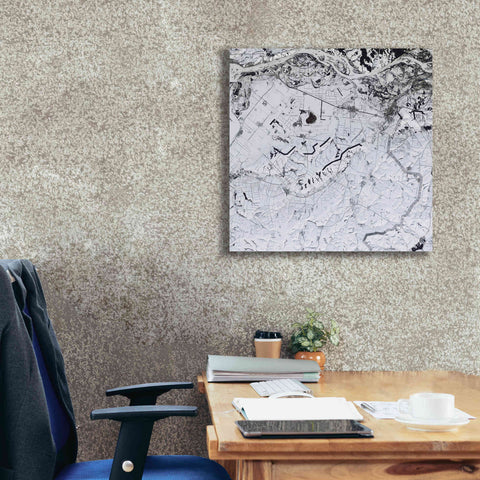 Image of 'Earth as Art: Etched in Snow,' Canvas Wall Art,26 x 26