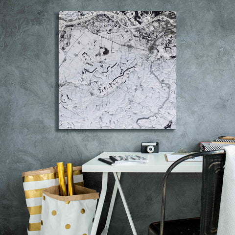Image of 'Earth as Art: Etched in Snow,' Canvas Wall Art,26 x 26
