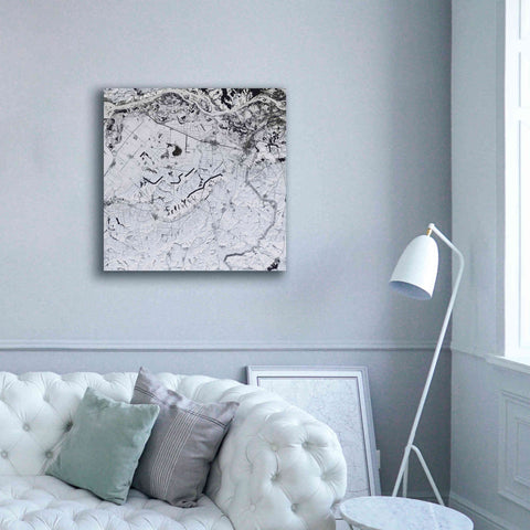 Image of 'Earth as Art: Etched in Snow,' Canvas Wall Art,37 x 37