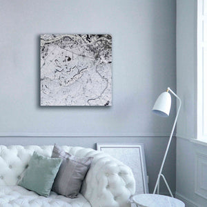 'Earth as Art: Etched in Snow,' Canvas Wall Art,37 x 37