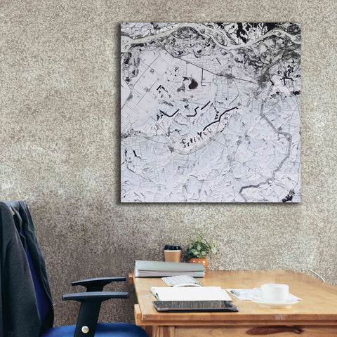 Image of 'Earth as Art: Etched in Snow,' Canvas Wall Art,37 x 37