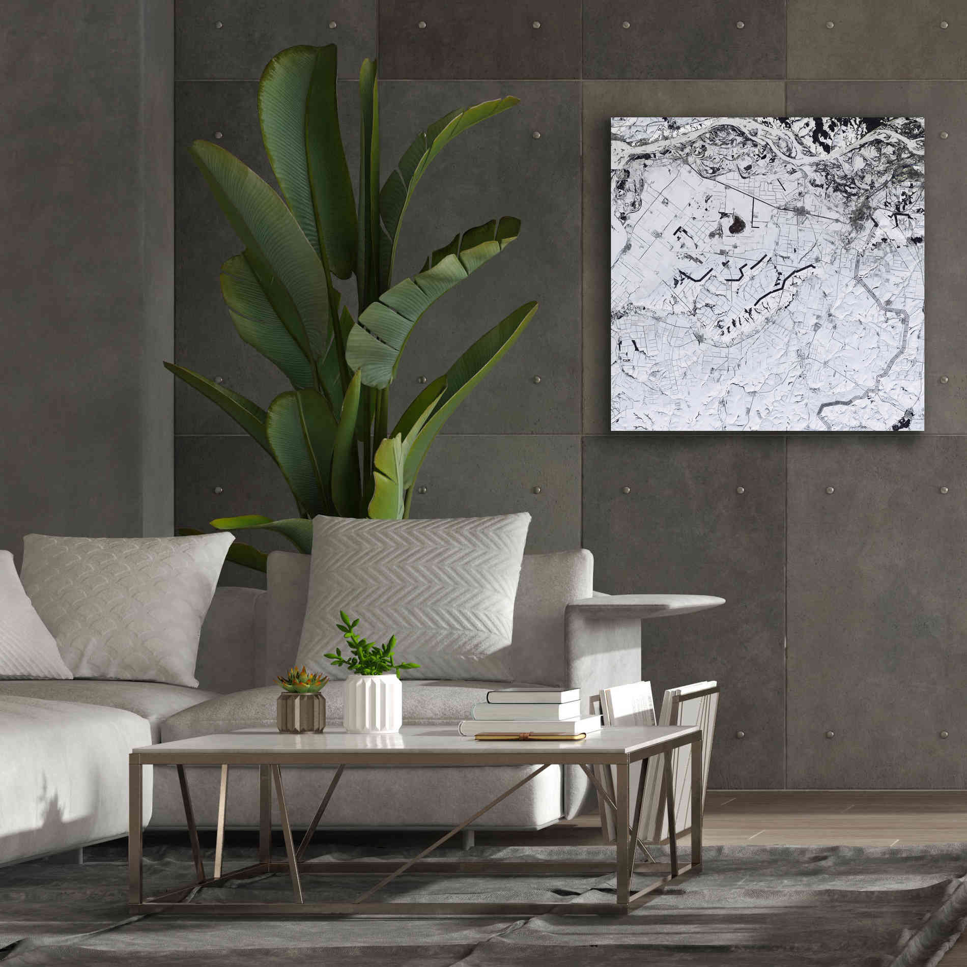 'Earth as Art: Etched in Snow,' Canvas Wall Art,37 x 37