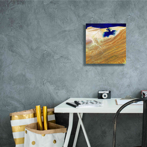 Image of 'Earth as Art: Ink Stain,' Canvas Wall Art,12 x 12